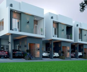 Property Development